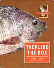 Tackling the Box