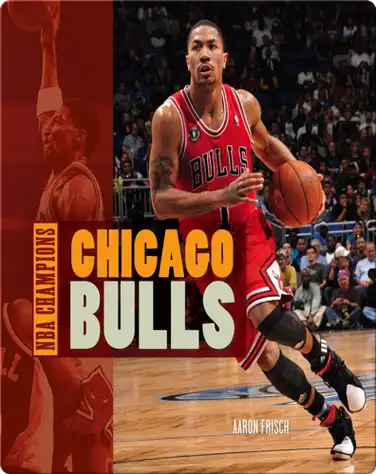 Chicago Bulls book