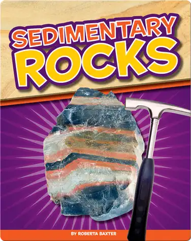 Sedimentary Rocks book