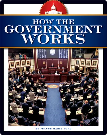 How the Government Works book