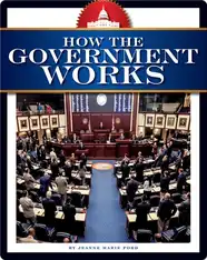 How the Government Works