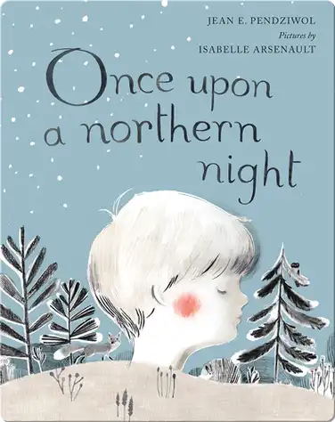 Once Upon a Northern Night book