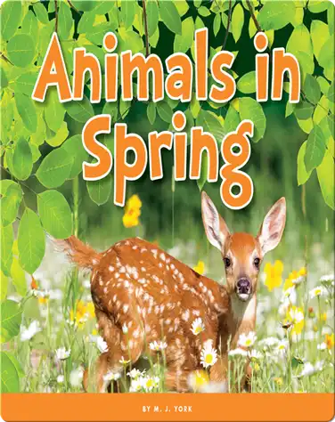 Animals in Spring book