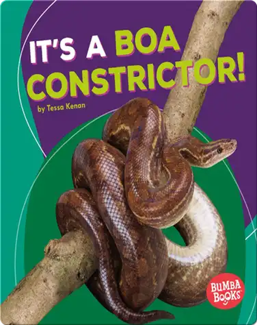 It's a Boa Constrictor! book