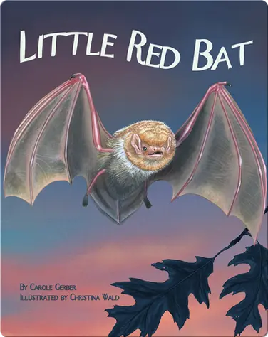 Little Red Bat book