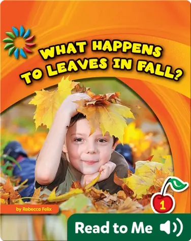 What Happens to Leaves in Fall? book