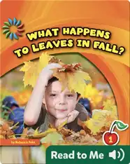 What Happens to Leaves in Fall?