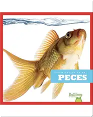 Clasificación Animal: Peces