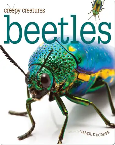 Beetles book