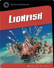 Lionfish
