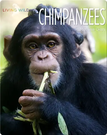 Chimpanzees book