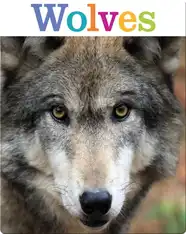 Wolves