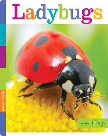 Ladybugs book