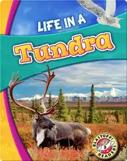 Biomes Alive!: Life in a Tundra