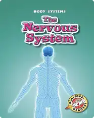 The Nervous System