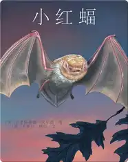 小红蝠