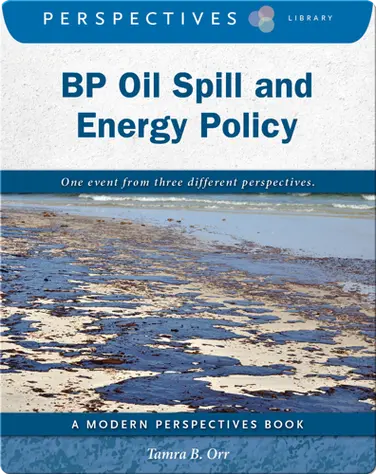 BP Oil Spill and Energy Policy book