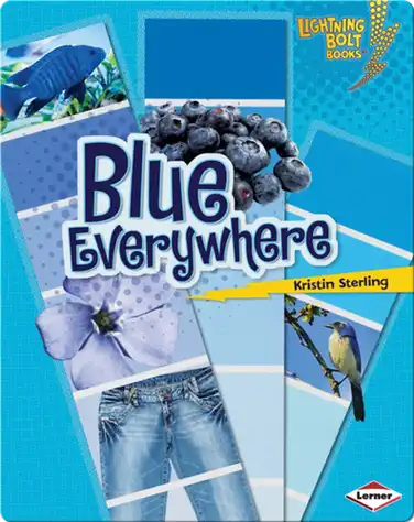 Blue Everywhere book