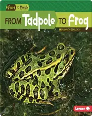 From Tadpole to Frog