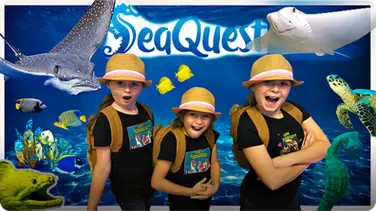 Kids Animal Adventure: SeaQuest Interactive Aquarium book