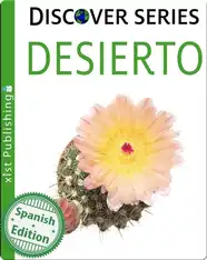 Desierto