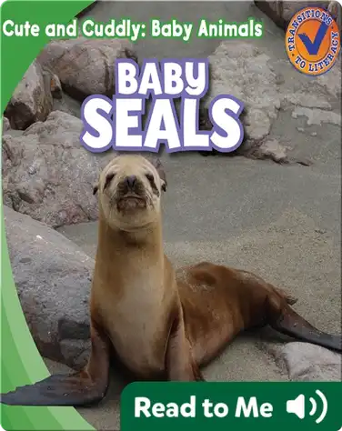Cute and Cuddly: Baby Seals book