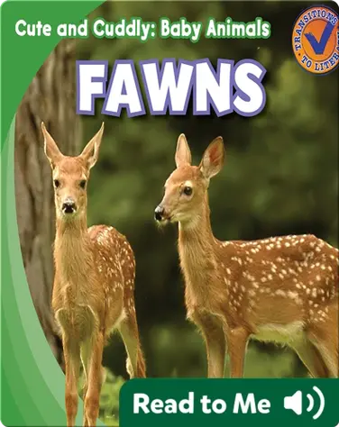 Cute and Cuddly: Fawns book