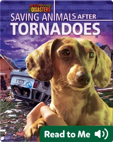 Saving Animals After Tornadoes book