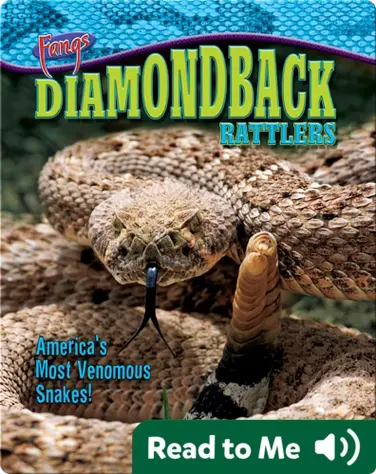Diamondback Rattlers: America's Most Venomous Snakes! book
