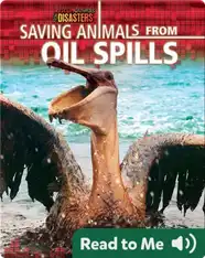 Saving Animals from Oil Spills