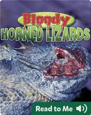 Bloody Horned Lizards