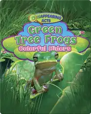 Green Tree Frogs: Colorful Hiders