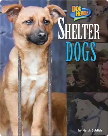 Shelter Dogs book