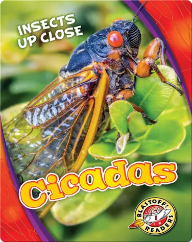 Cicadas book