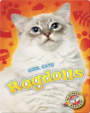 Ragdolls