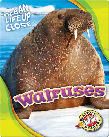 Walruses book