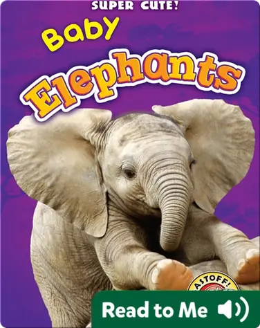 Super Cute! Baby Elephants book