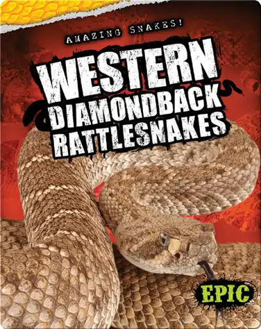 Western Diamondback Rattlesnakes book