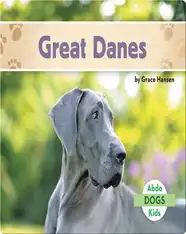 Great Danes