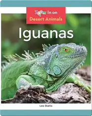 Iguanas