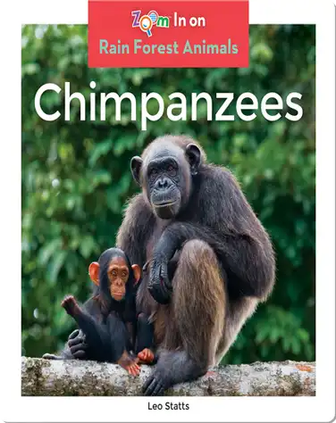 Chimpanzees book