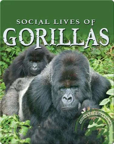 Social Lives of Gorillas book