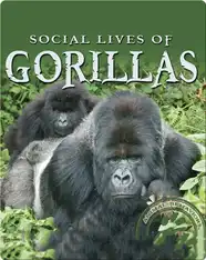 Social Lives of Gorillas