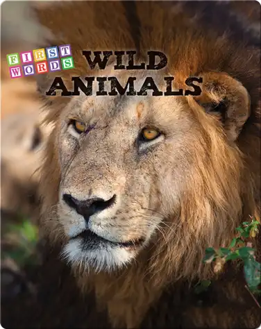 Wild Animals book