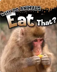 Why Do Animals Eat That?