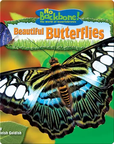 Beautiful Butterflies book