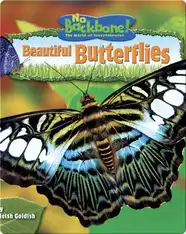 Beautiful Butterflies