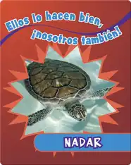 Nadar