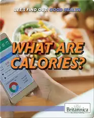 What Are Calories?