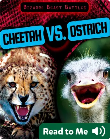 Cheetah vs. Ostrich book